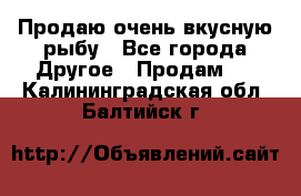 Продаю очень вкусную рыбу - Все города Другое » Продам   . Калининградская обл.,Балтийск г.